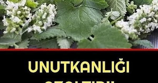Unutkanlığı bitiriyor 