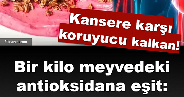 Kansere Karşı Kalkan