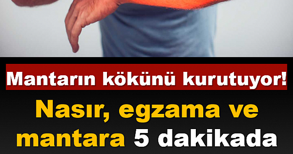 Mantarın Kökünü Kurutuyor