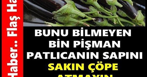  Patlıcan sapının inanılmaz faydaları! Sakın atmayın 