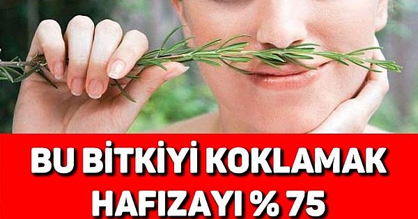 ZEKAYI GELİŞTİREN BİTKİ  