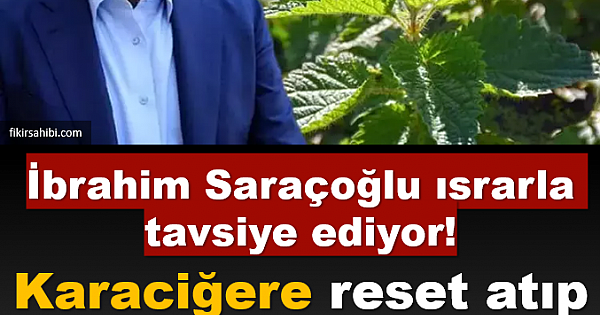 İbrahim Saraçoğlu Tavsiye Ediyor
