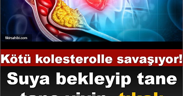 Kolesterolle Savaşıyor