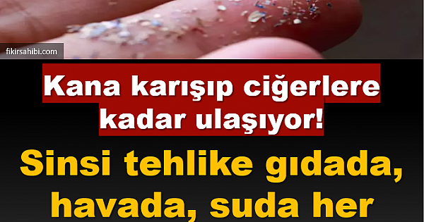 Sinsi Tehlike Her Yerde
