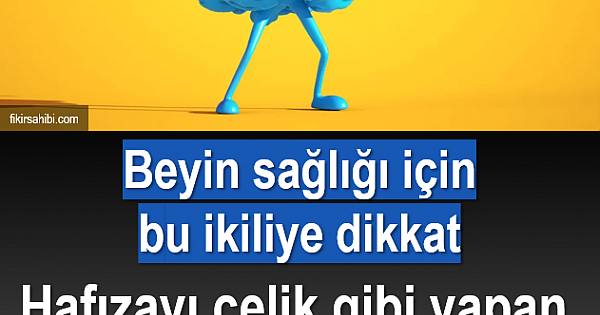 Hafızayı Çelik Gibi Yapan İkili