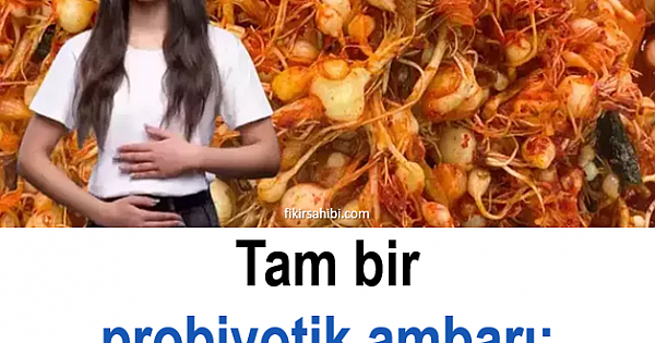 Probiyotik Ambarı