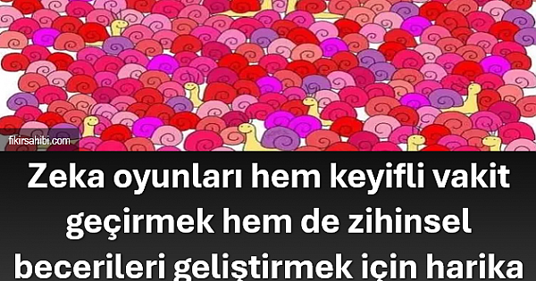 100 Kişiden 99'u Bulamıyor!