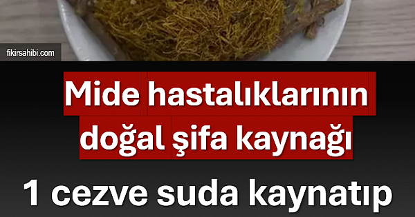 Mide Hastalıklarına Şifa
