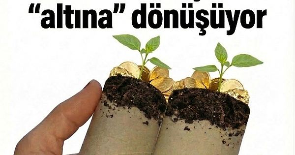 Bahçeniz İçin Altın Değerinde! İşte 3 Mucizevi Yöntem 