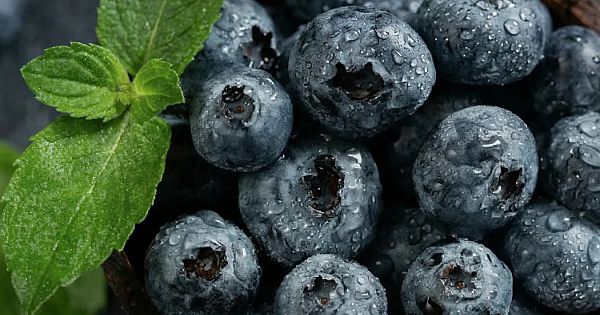 Kadınlar İçin Mucizevi 10 Besin: Her Gün Tüket 