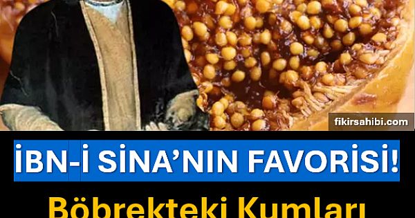 İBN-İ SİNA'NIN FAVORİSİ