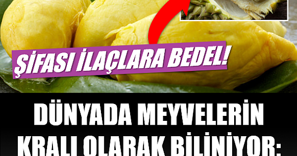 ŞİFASI İLACA BEDEL