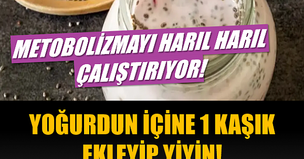 YOĞURDUN İÇİNE 1 KAŞIK